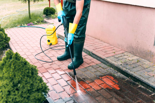 Solar Panel Cleaning in Williamsport, OH